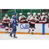 Belleville Senators celebrate win