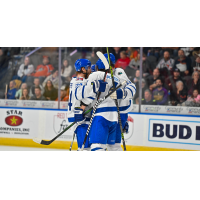 Wichita Thunder celebrate win