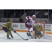 Peterborough Petes' Sahil Panwar in action