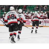 Belleville Senators on game day