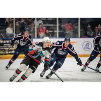 Kelowna Rockets' Gabriel Szturc in action