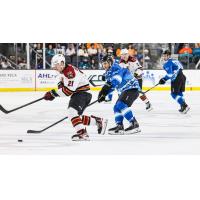 Tucson Roadrunners' Jan Jenik In Action