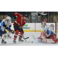 Wheeling Nailers prepare a shot against the Toledo Walleye