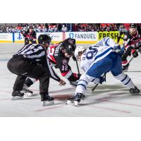 Belleville Senators' Cole Cassels And Toronto Marlies' Graham Slaggert In Action