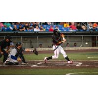 Washington Wild things outfielder Anthony Brocato