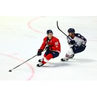 Regina Pats captain Connor Bedard