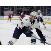 Jacksonville Icemen forward Brendan Harris