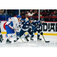 Worcester Railers' Anthony Repaci and Trois-Rivières Lions' Nicolas Larivière in action