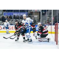 Belleville Senators battle the Toronto Marlies