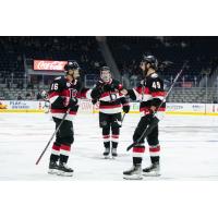 Belleville Senators' Brennan Saulnier and Scott Sabourin celebrate win