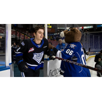 Victoria Royals' Matthew Hodson on game day