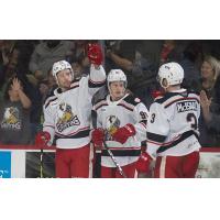 Grand Rapids Griffins celebrate a goal