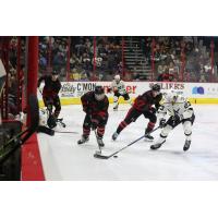 Wheeling Nailers' MATT ALFARO in action versus the Cincinnati Cyclones