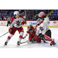 Allen Americans' Kevin Mandolese in action