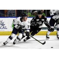 Worcester Railers' Reece Newkirk And Idaho Steelheads' Sean Josling In Action