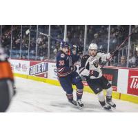 Kamloops Blazers' Drew Englot and Vancouver Giants' Carson Haynes in action