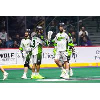 Saskatchewan Rush exchange congratulations against the San Diego Seals