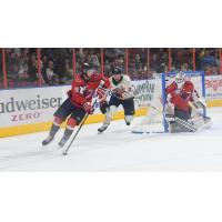 South Carolina Stingrays' Kevin O'Neil in action