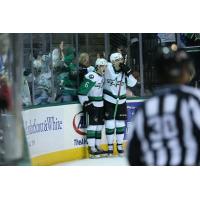 Texas Stars' Ben Gleason celebrates win