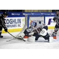 Worcester Railers' Henrik Tikkanen in action