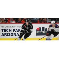 Ontario Reign battle the Tucson Roadrunners on game day