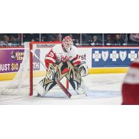 Grand Rapids Griffins goaltender Magnus Hellberg