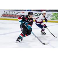 Kelowna Rockets left wing Andrew Cristall