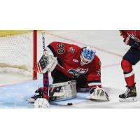 Kalamazoo Wings goaltender Pavel Cajan