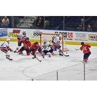 Springfield Thunderbirds the Bridgeport Islanders