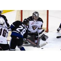 Victoria Royals' Teague Patton in action