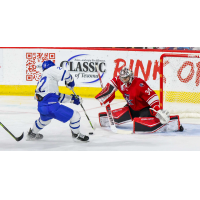 Wichita Thunder's Michal Stinil Battles Allen Americans' Kevin Mandolese