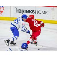 Wichita Thunder's Quinn Preston battles Allen Americans' Zach Massicotte