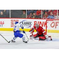 Allen Americans goaltender Kevin Mandolese faces the Wichita Thunder