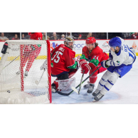 Allen Americans' Logan Flodell and Dalton Skelly battle Wichita Thunder's Kelly Bent