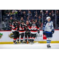 Belleville Senators gather after a goal against the Manitoba Moose