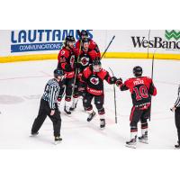 Cincinnati Cyclones celebrate after a goal against the Wheeling Nailers