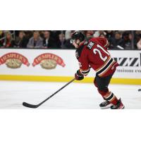 Tucson Roadrunners' Jan Jenik in action