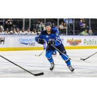 Jacksonville Icemen forward Travis Howe