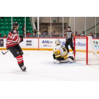 Belleville Senators' Ridly Greig and Wilkes-Barre/scranton Penguins' Dustin Tokarski On Game Night