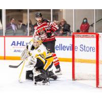 Belleville Senators' Egor Sokolov and Wilkes-Barre/scranton Penguins' Dustin Tokarsk In Action