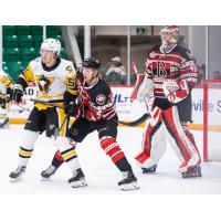 Wilkes-Barre/Scranton Penguins' Filip Hållander and Belleville Senators' Taylor Fedun and Dustin Tokarski