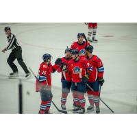 Springfield Thunderbirds celebrate win