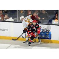 Grand Rapids Griffins' Austin Czarnik battles Chicago Wolves' Joseph LaBate