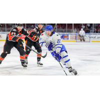 Michal Stinil of the Wichita Thunder