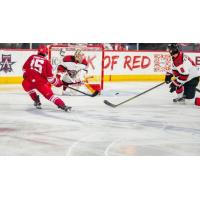 Allen Americans forward Liam Finlay (left)