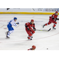 Rapid City Rush defenseman Kenton Helgesen