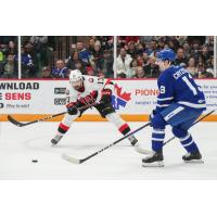 Belleville Senators' Egor Sokolov Battles Toronto Marlies' Ryan Chyzowski