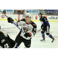 Vancouver Giants' Julian Cull on game night