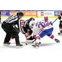 Belleville Senators' Cole Cassels And Rochester Americans' Mason Jobst