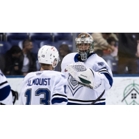 Victoria Royals on game night